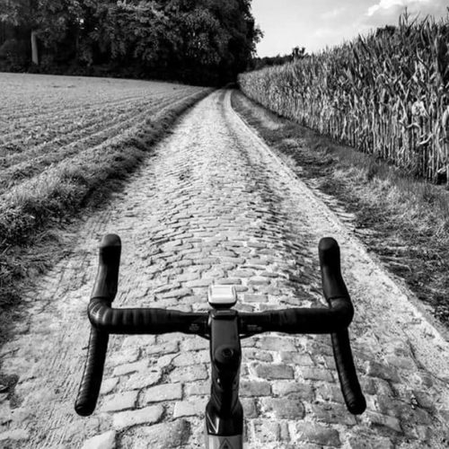 Cool Cobbles Outside the Flemish Ardennes