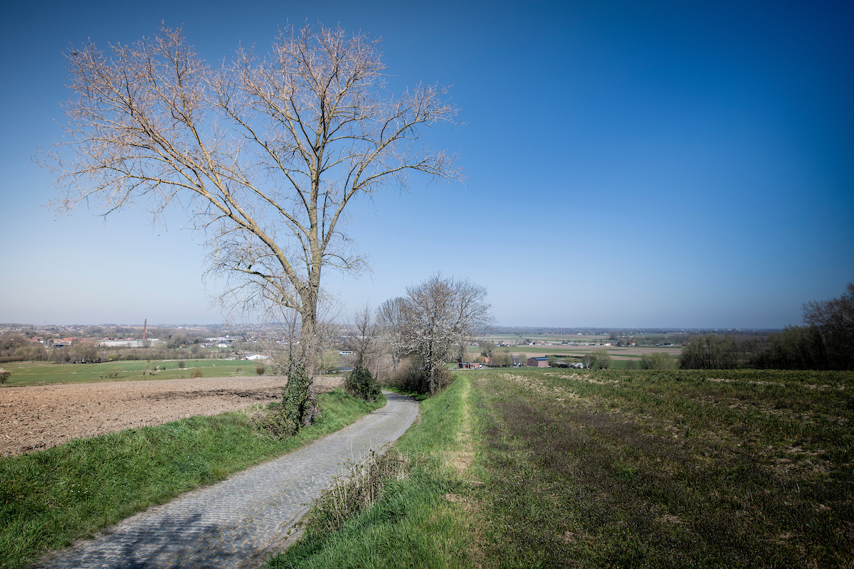 Oude Kwaremont