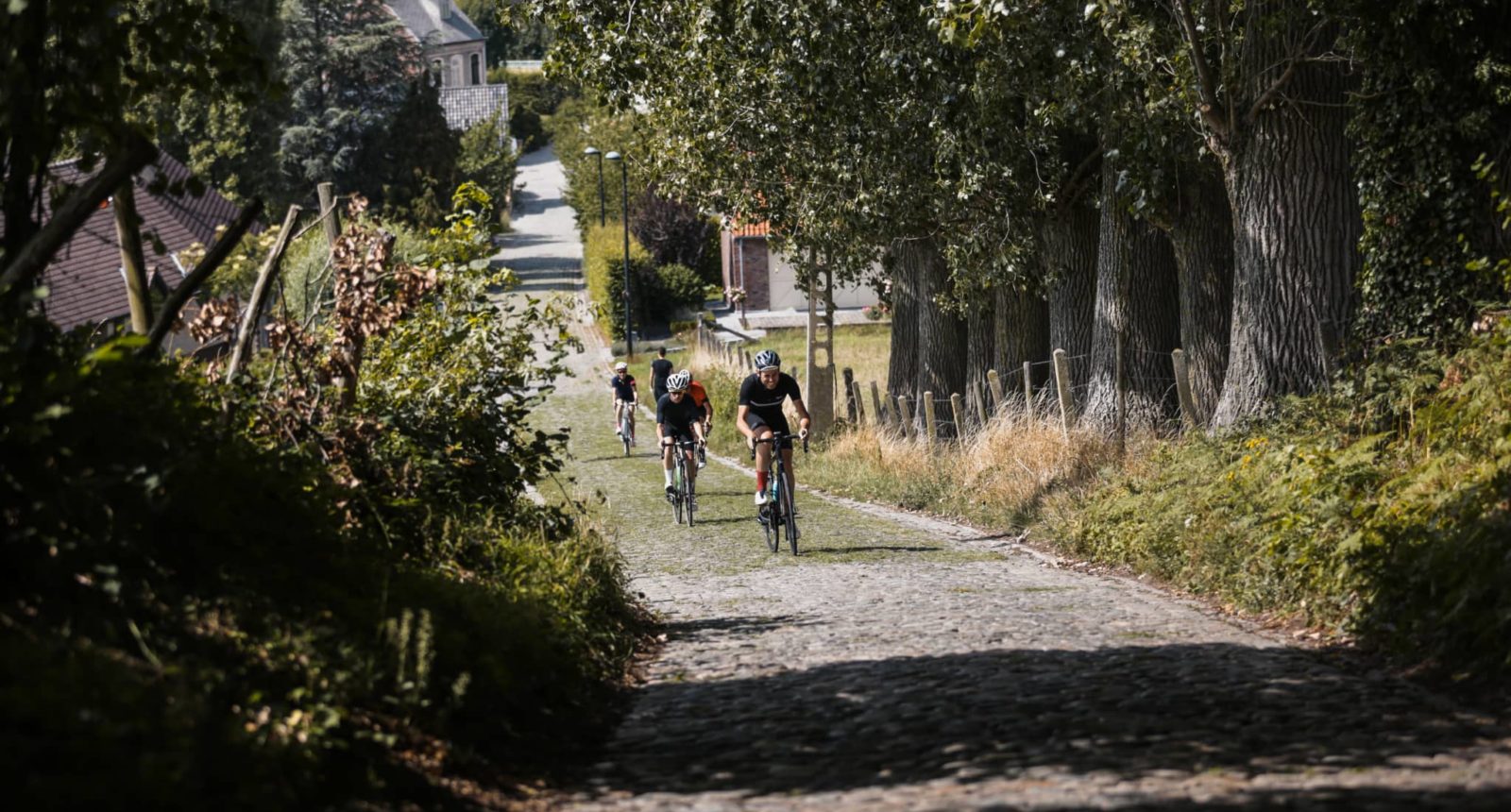 Ronde Van Vlaanderen - Blue Loop