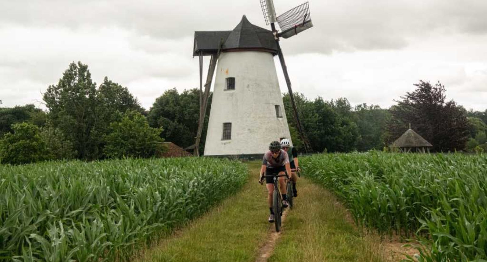 Tailwind - Fatpigeo - Cycling In Flanders