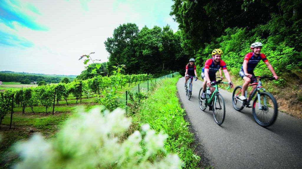 Wijngaardberg-Houwaart - Sven Nys Cycling-route - (c) Lander Loeckx