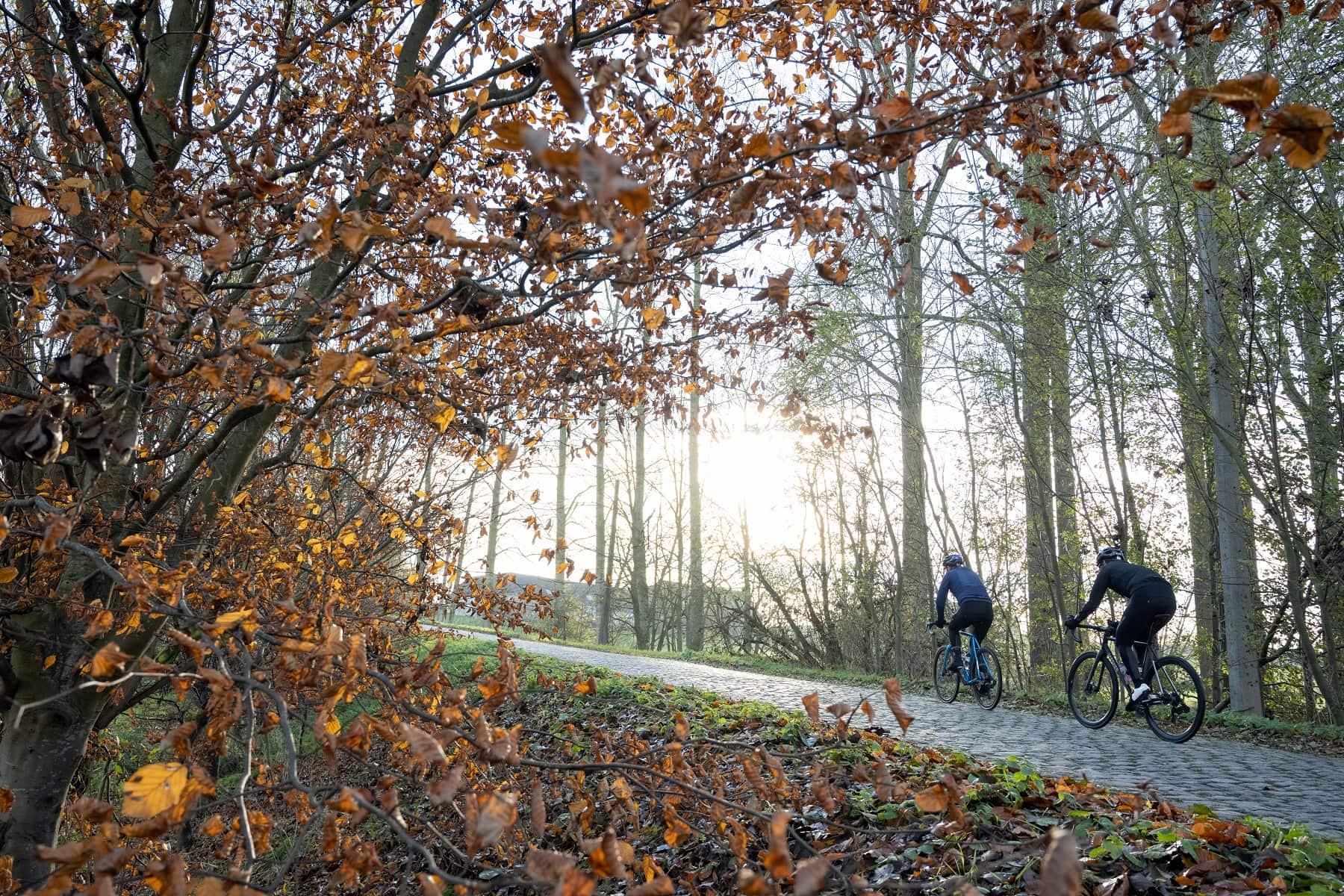 221208_Cyclist_Flanders_1152