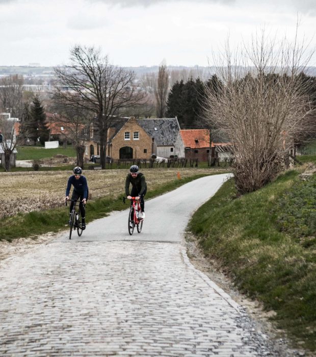 WIGGINS-IN-FLANDERS