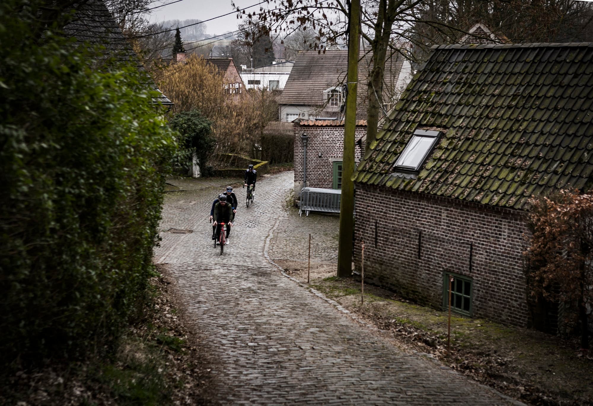 WIGGINS IN FLANDERS