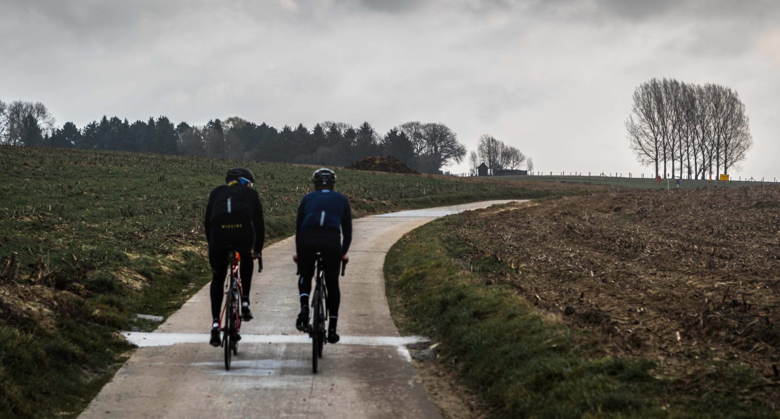 Wiggins in Flanders Backdrop