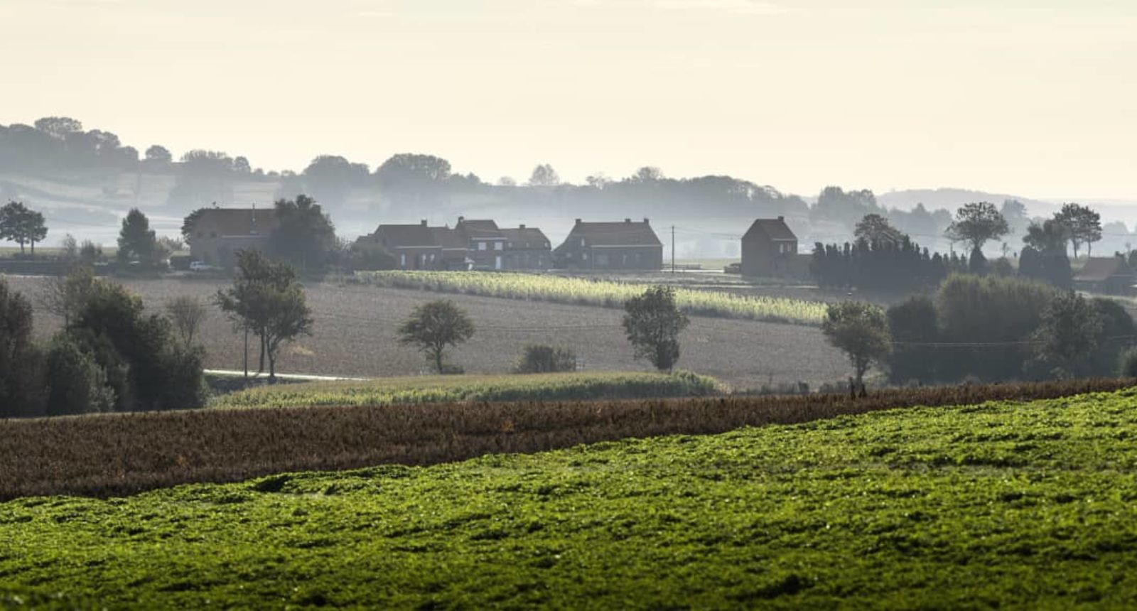 Countryside