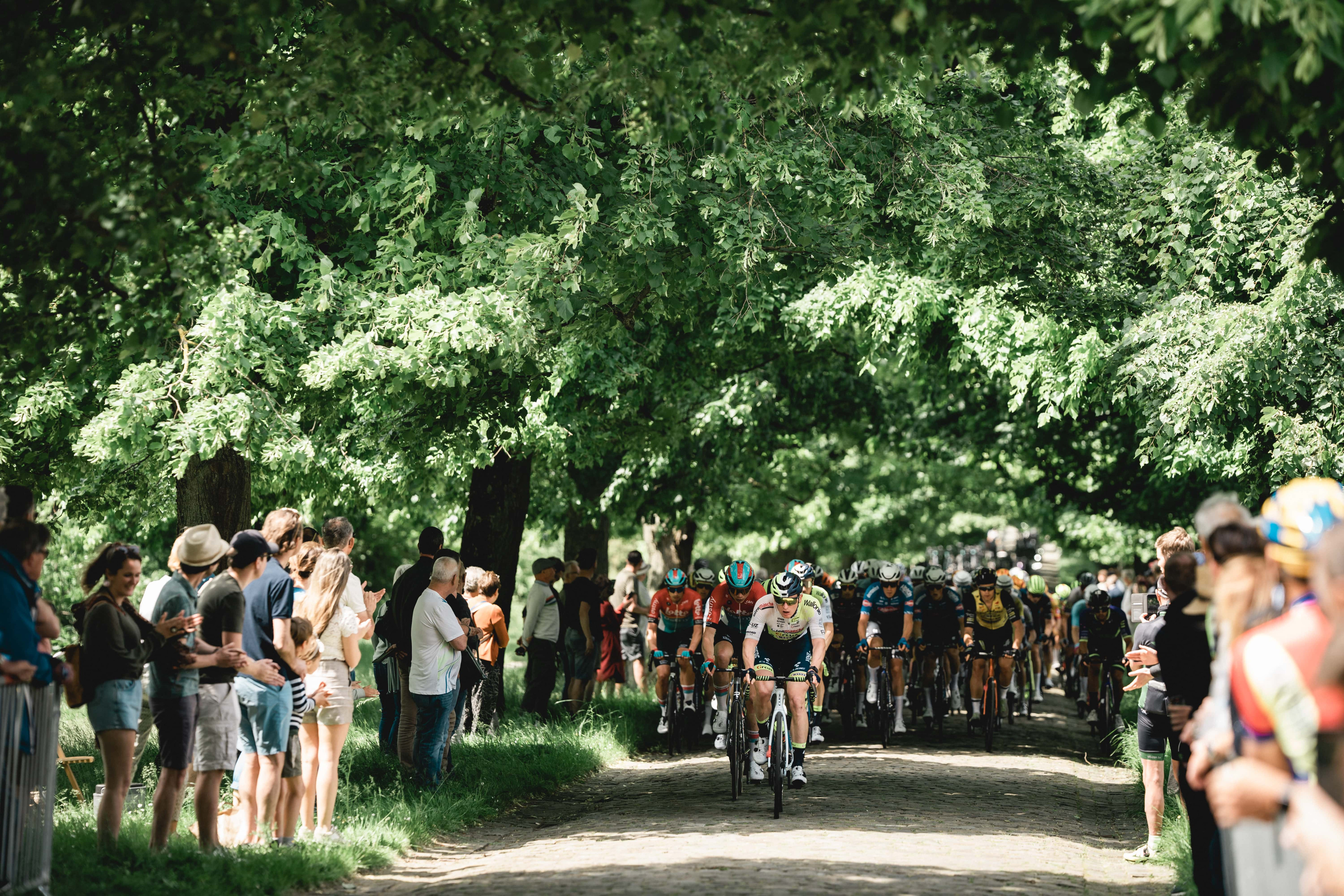 Ronde van Limburg peloton