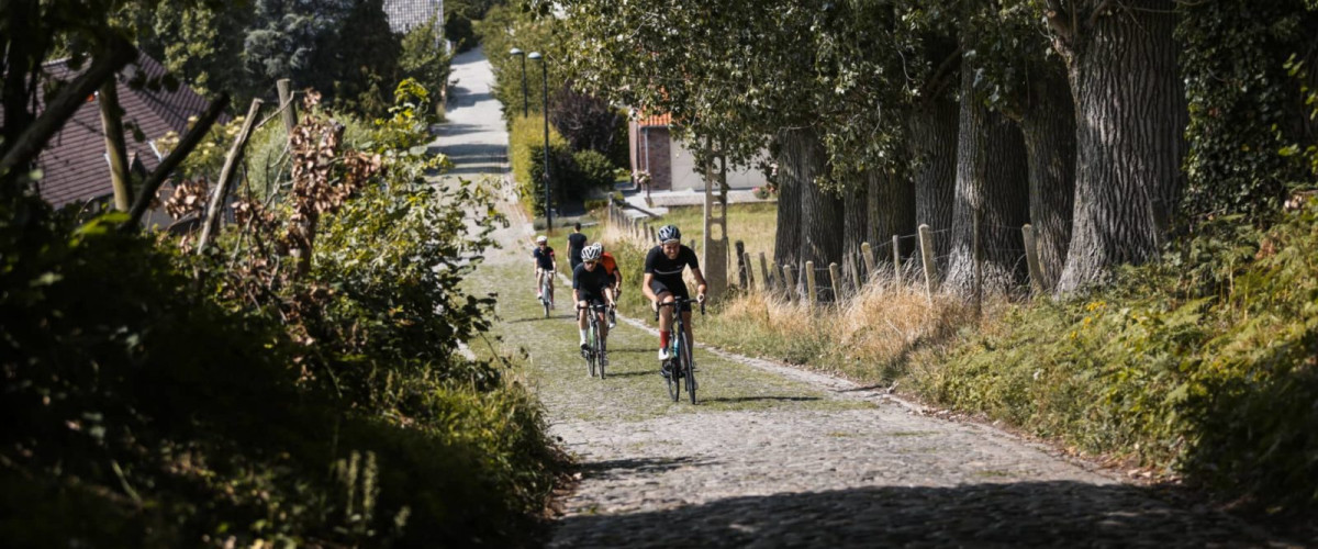 Ronde Van Vlaanderen - Blue Loop