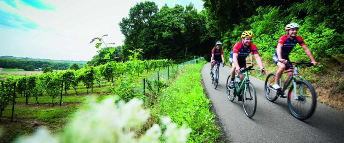 Wijngaardberg-Houwaart - Sven Nys Cycling-route - (c) Lander Loeckx