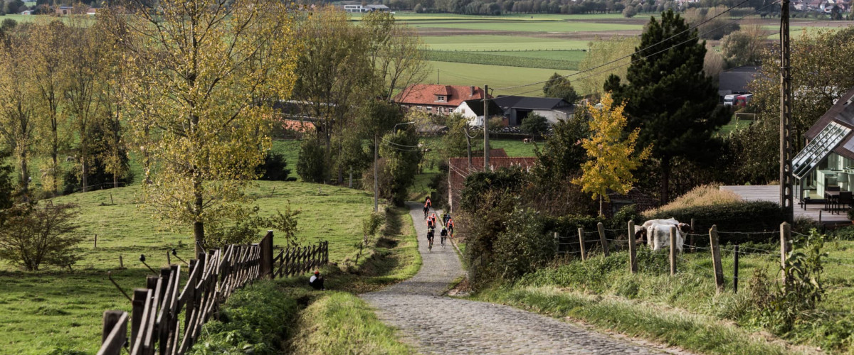 The Cobbled Climbs of the Ronde